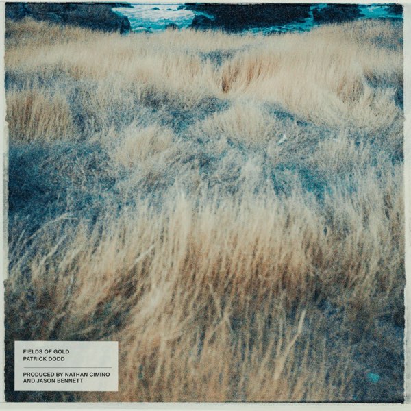 Patrick Dodd — Fields of Gold (single, 2024)